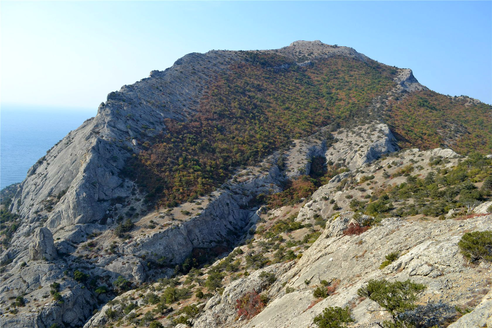 Перчем, image of landscape/habitat.