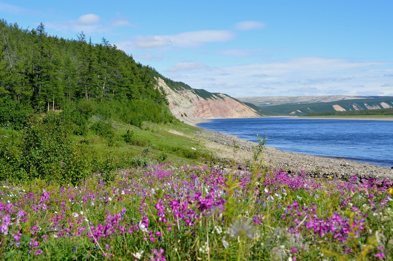 Река Котуй, image of landscape/habitat.