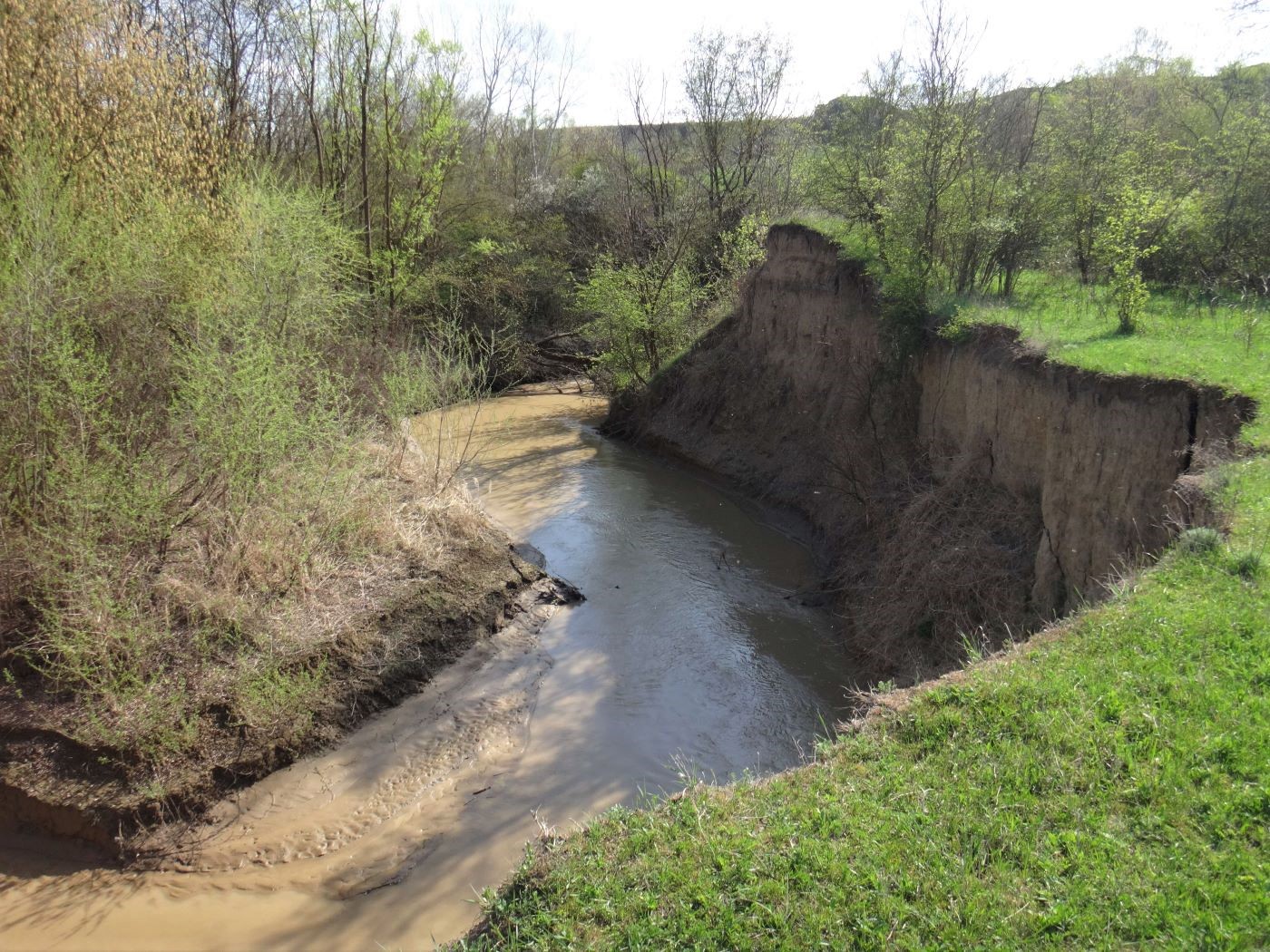 Сухотское, image of landscape/habitat.