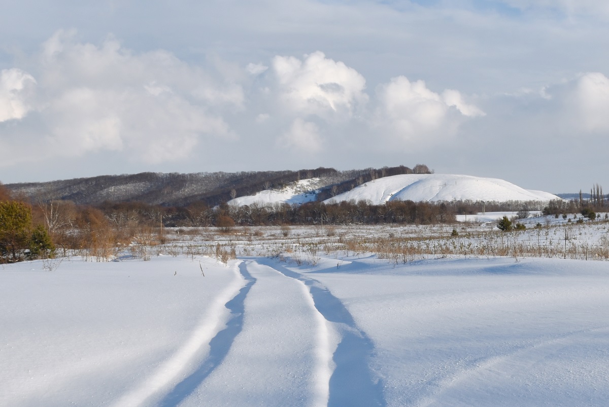 Стенки Изгорья, image of landscape/habitat.