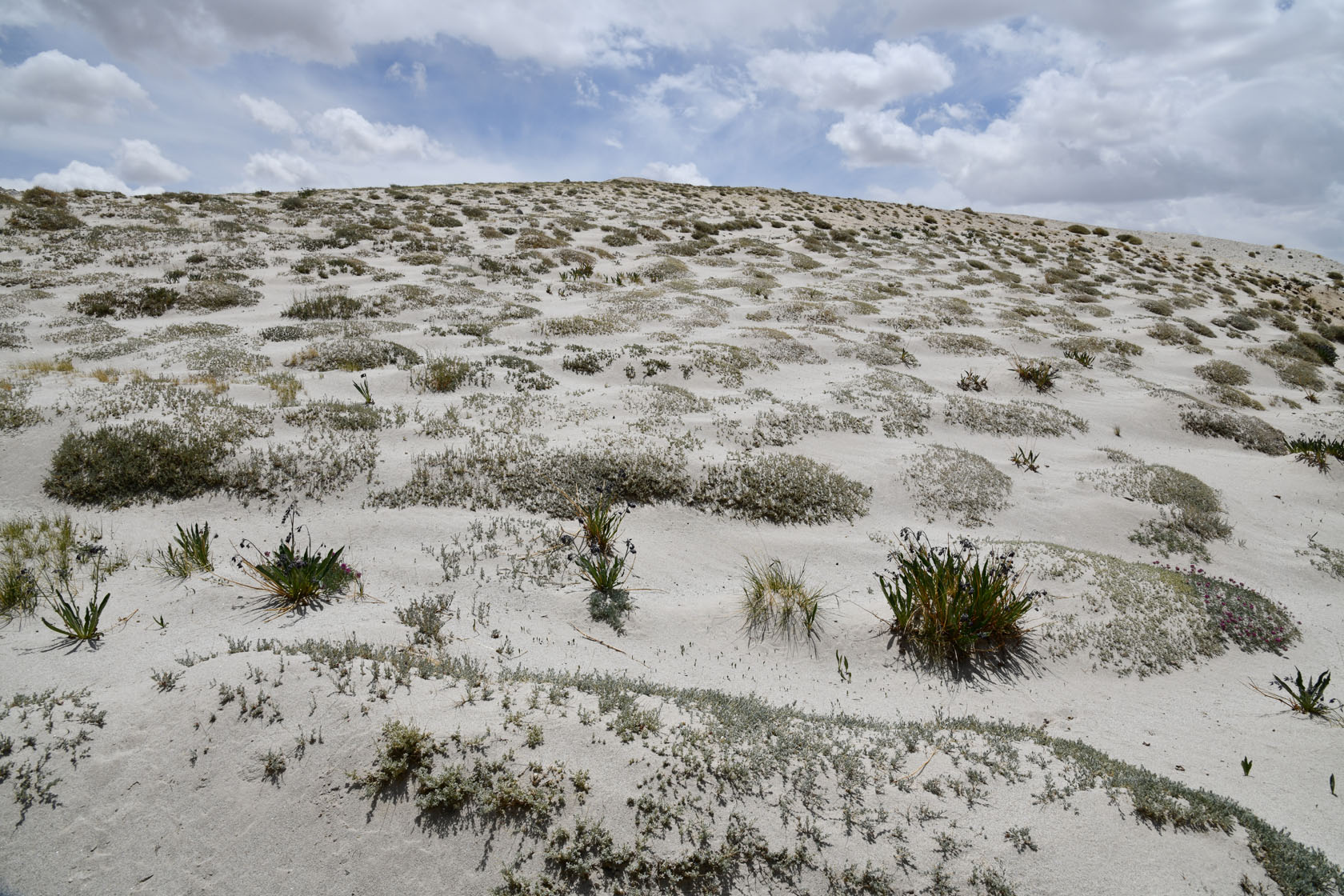 Тагаркаты, image of landscape/habitat.