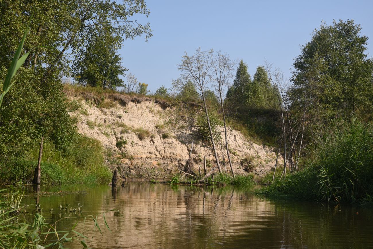Мелихово, image of landscape/habitat.