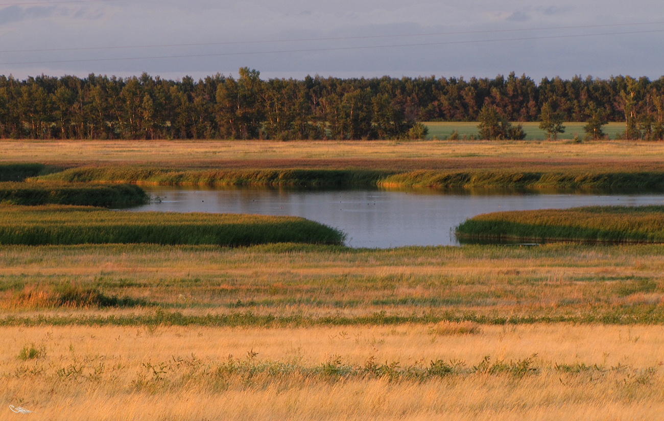 Малая Плотава, image of landscape/habitat.