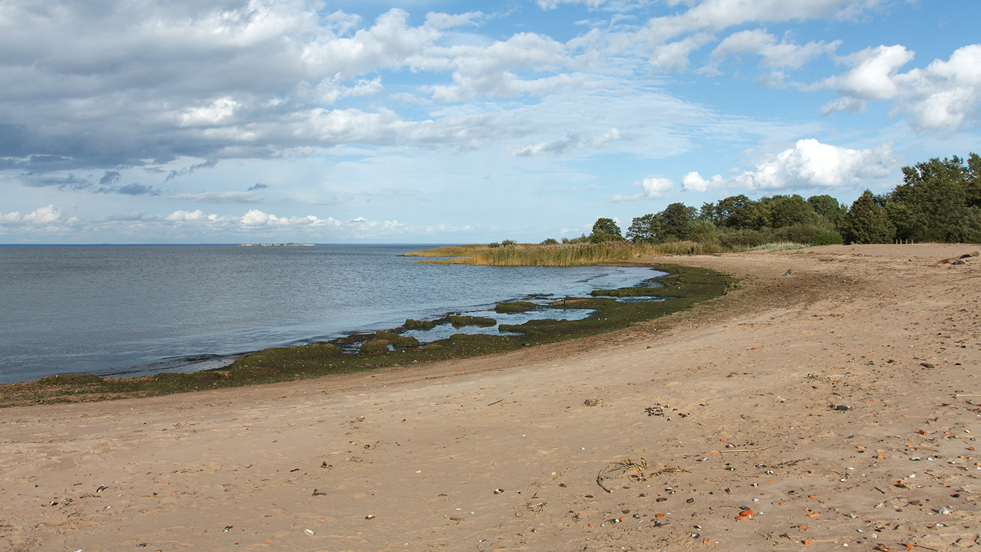 Западный Котлин, image of landscape/habitat.