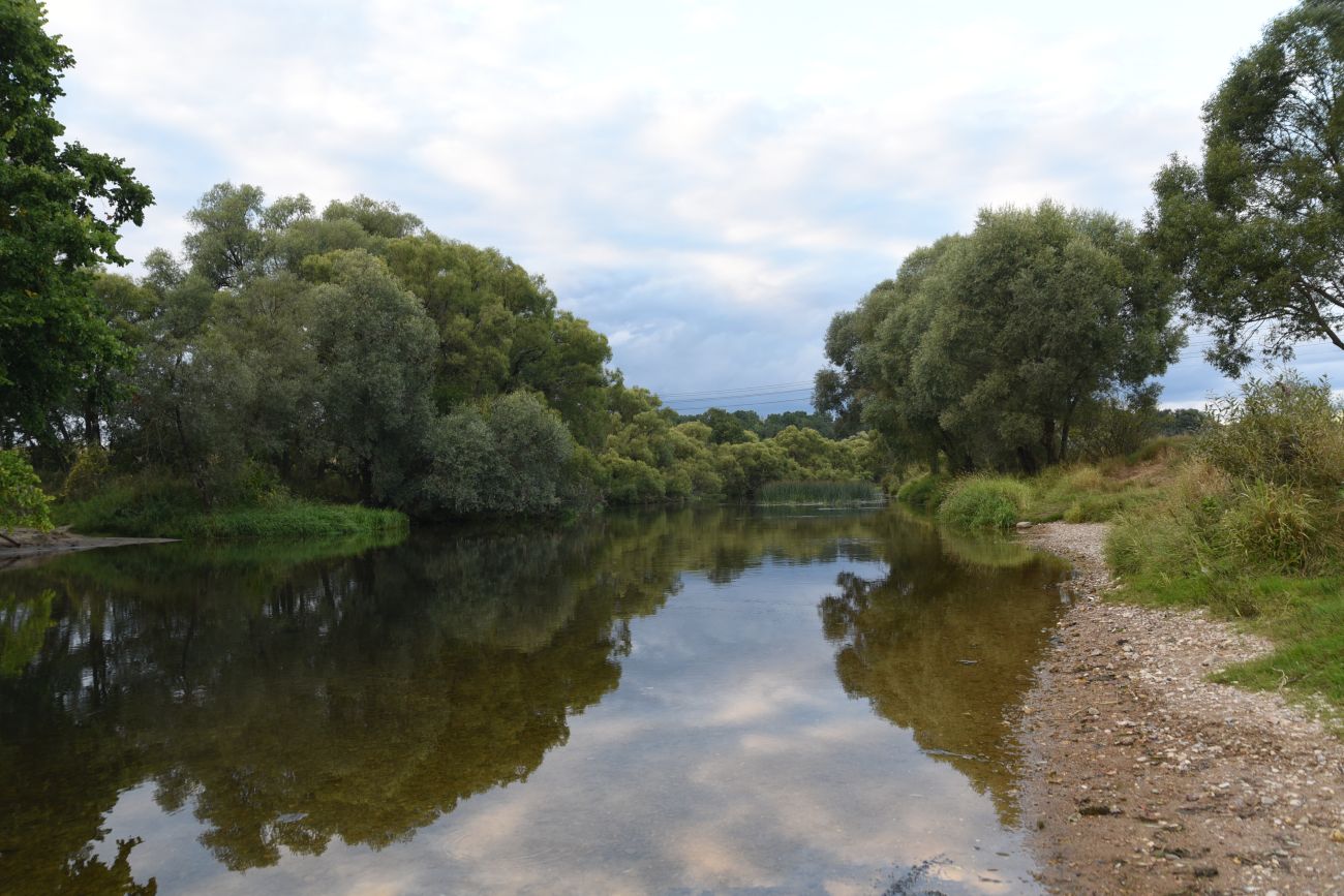 Окрестности деревни Бердовка, image of landscape/habitat.