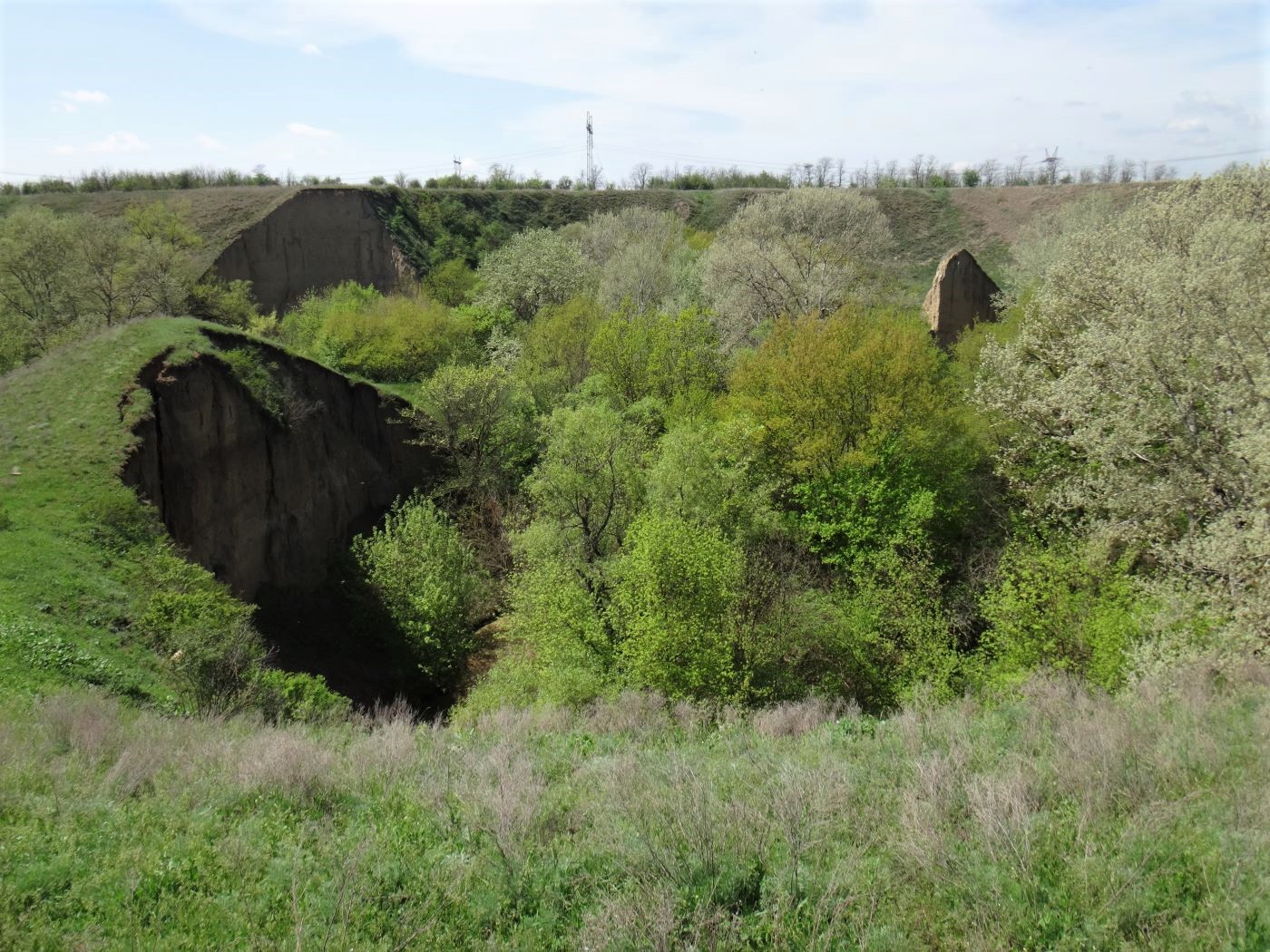 Сухотское, image of landscape/habitat.