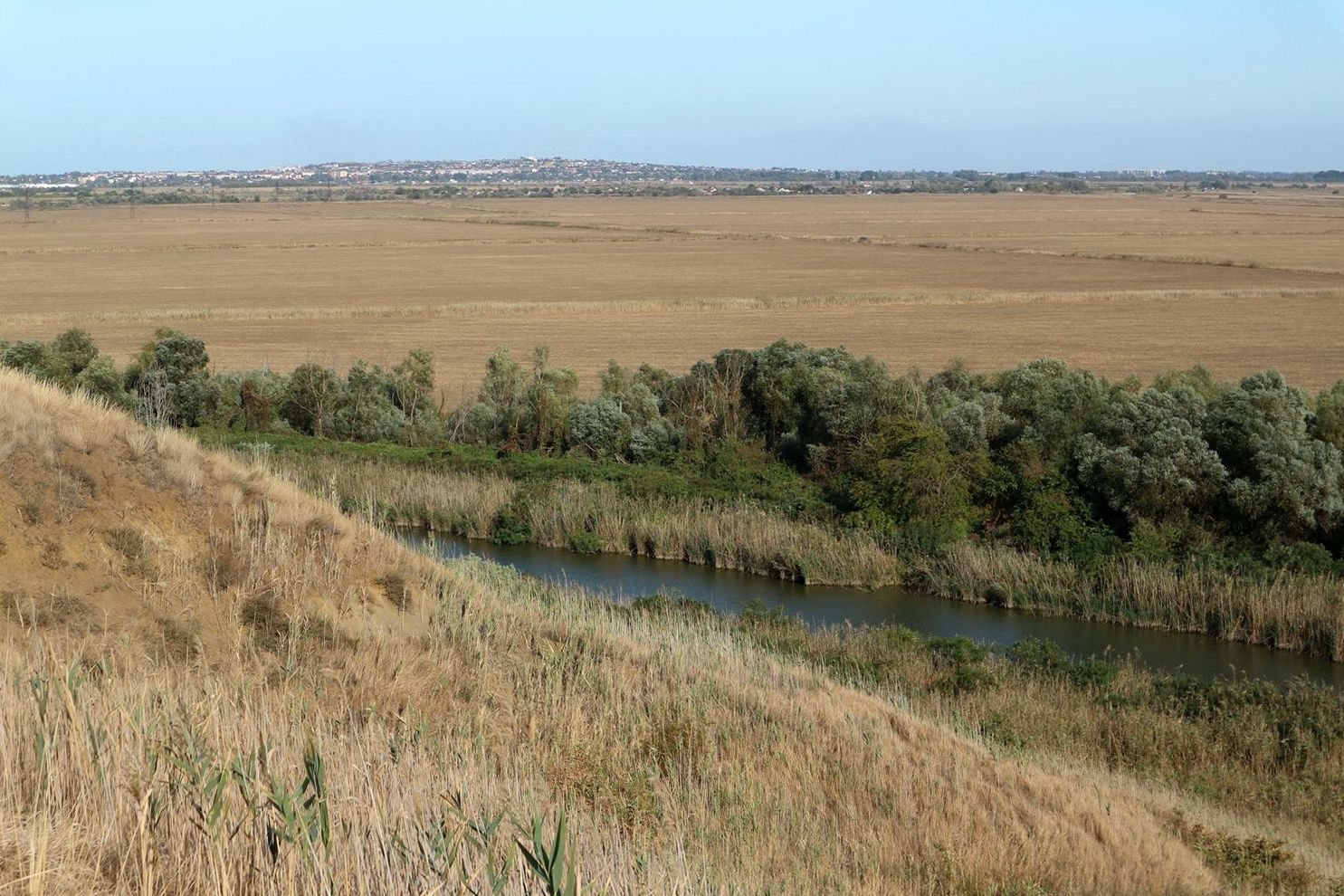 Дубовый Рынок, image of landscape/habitat.