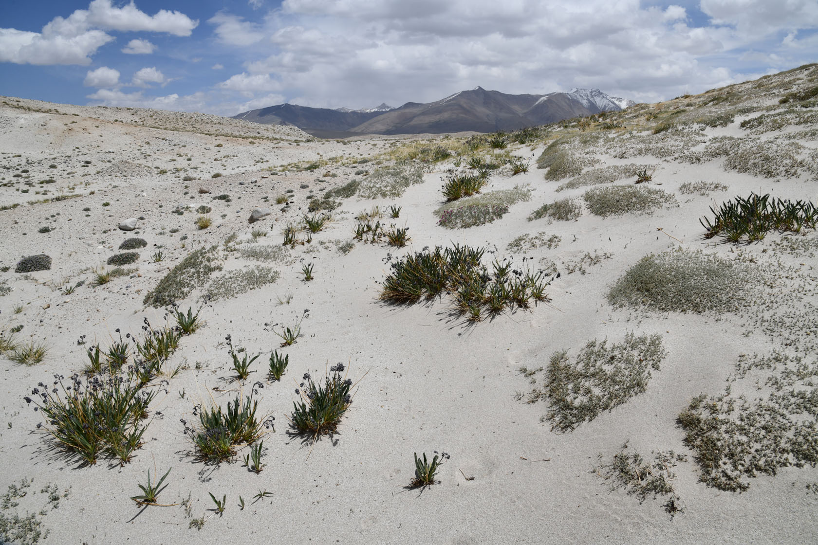 Тагаркаты, image of landscape/habitat.