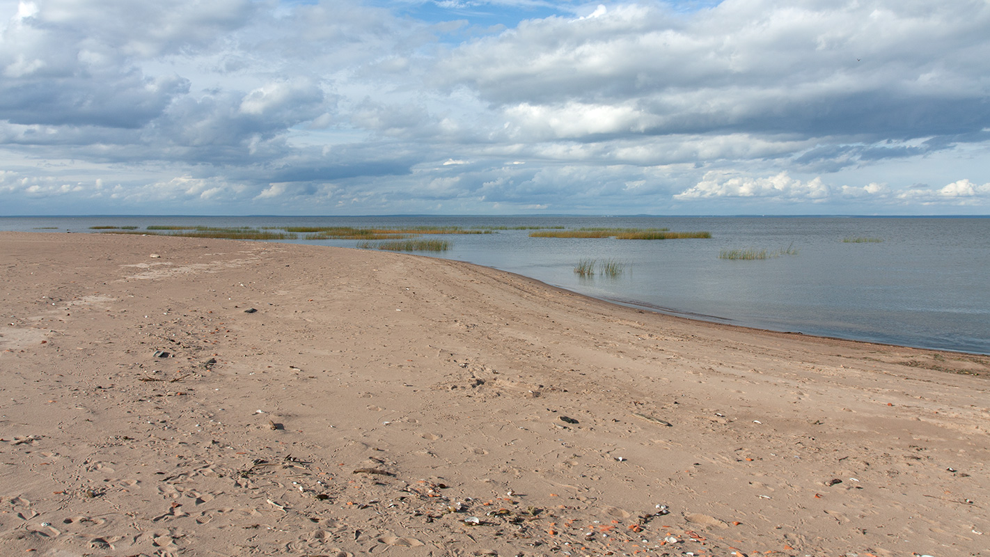 Западный Котлин, image of landscape/habitat.