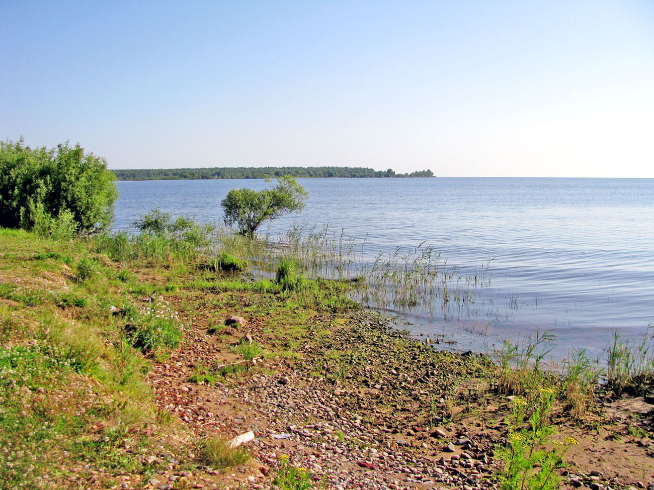 Рыбинское водохранилище Весьегонск пляж