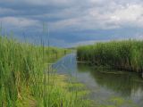 Донецкое море и окрестности, image of landscape/habitat.