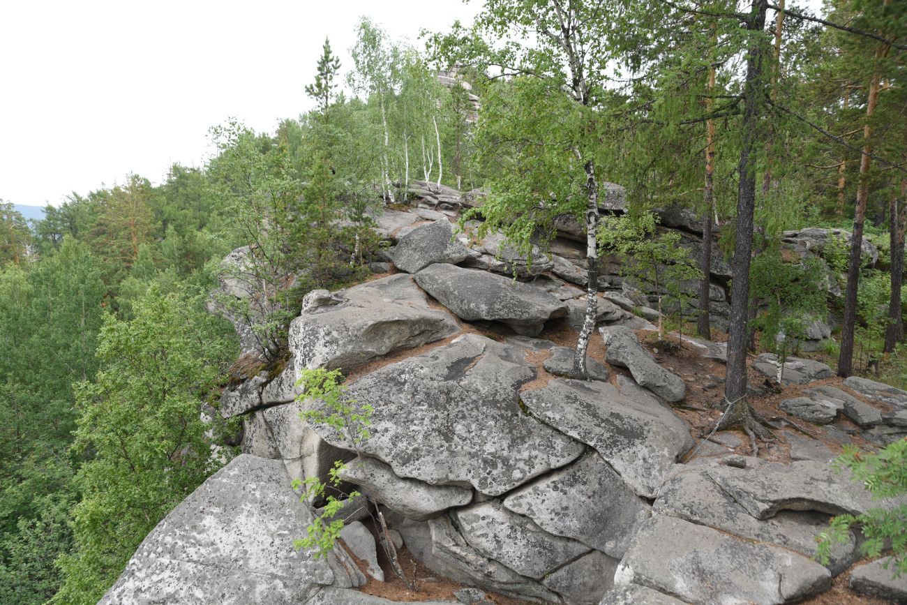 Гора Аракуль, image of landscape/habitat.