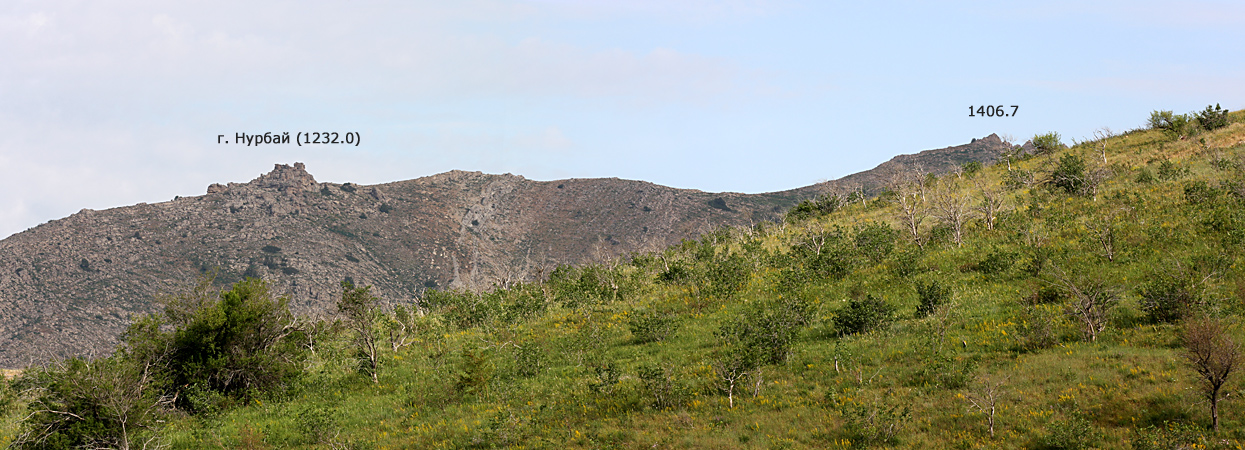 Гора Нурбай, image of landscape/habitat.