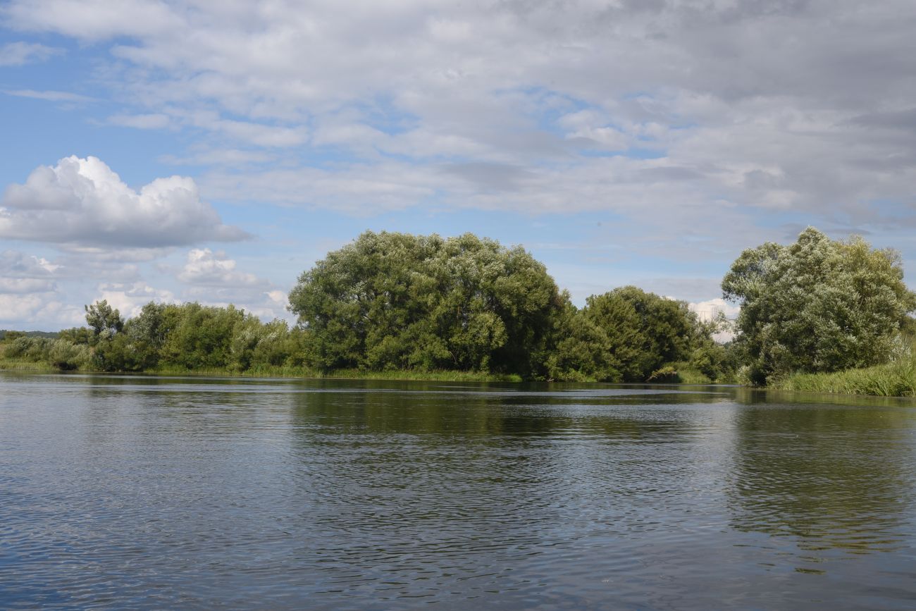 Устье реки Кочуровка, image of landscape/habitat.