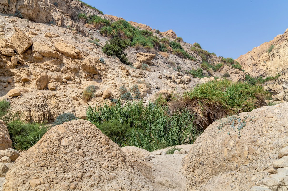 Эйн-Геди, image of landscape/habitat.