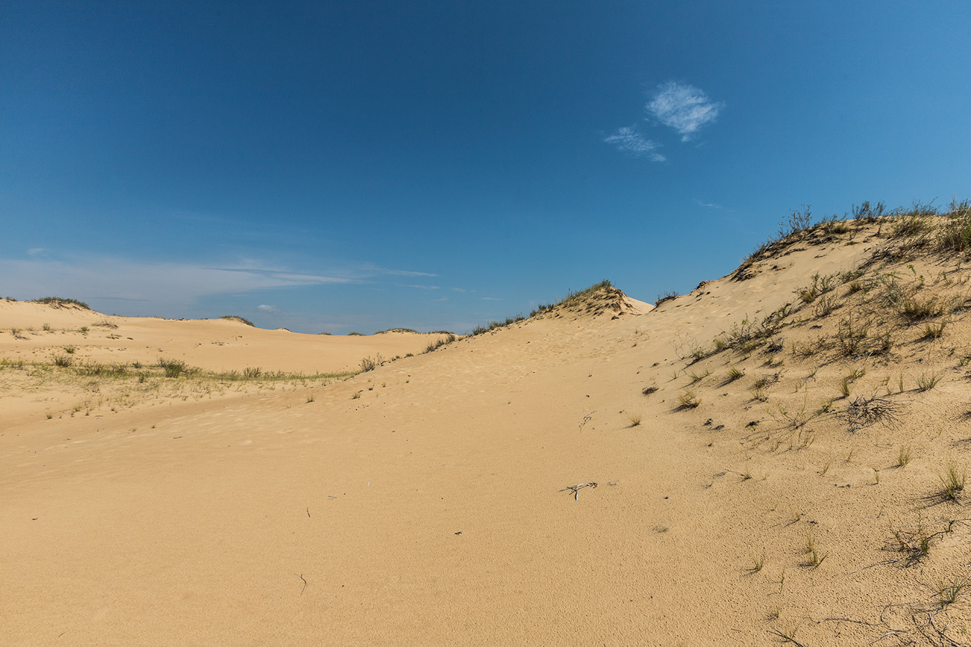 Большие Буруны, image of landscape/habitat.