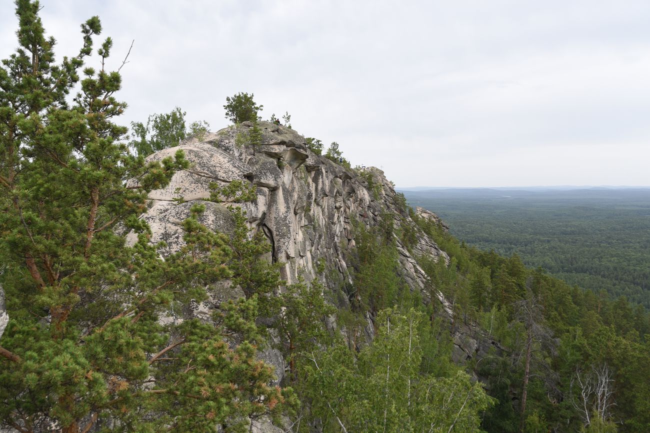 Гора Аракуль, image of landscape/habitat.