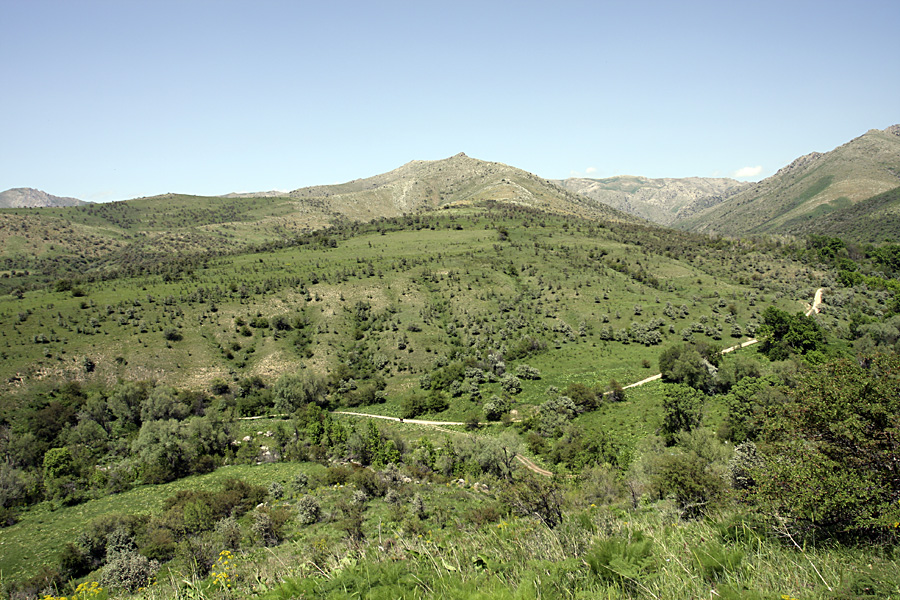 Ущелье Кокбулак, изображение ландшафта.