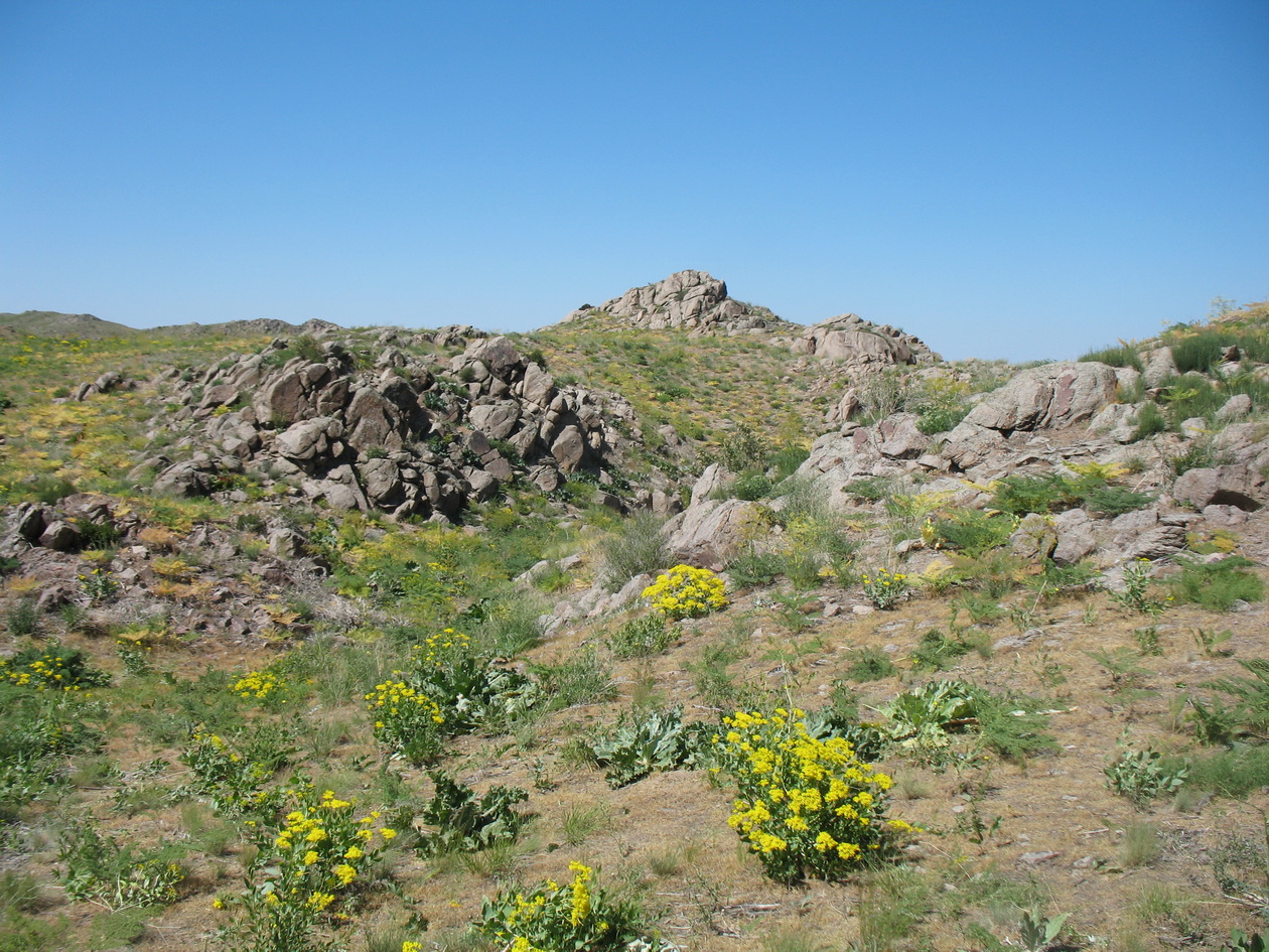 Улькунбурултау (север), изображение ландшафта.