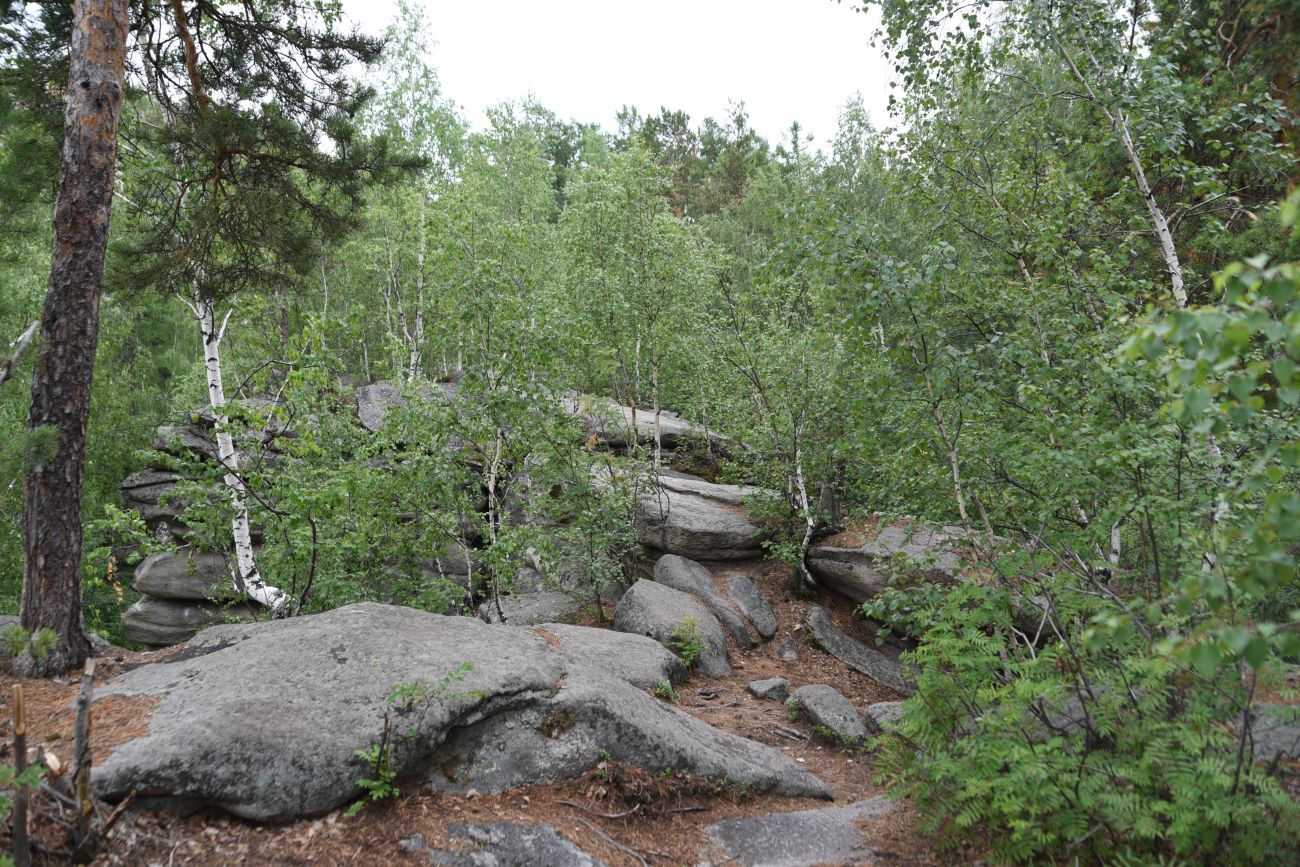 Гора Аракуль, image of landscape/habitat.