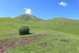 Агачбаши, image of landscape/habitat.