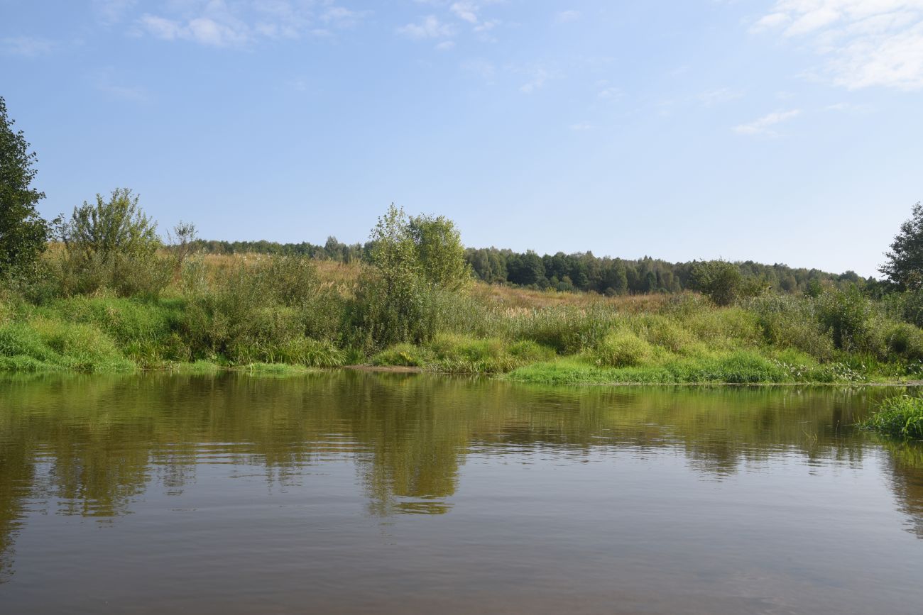 Брод Мелихово, image of landscape/habitat.
