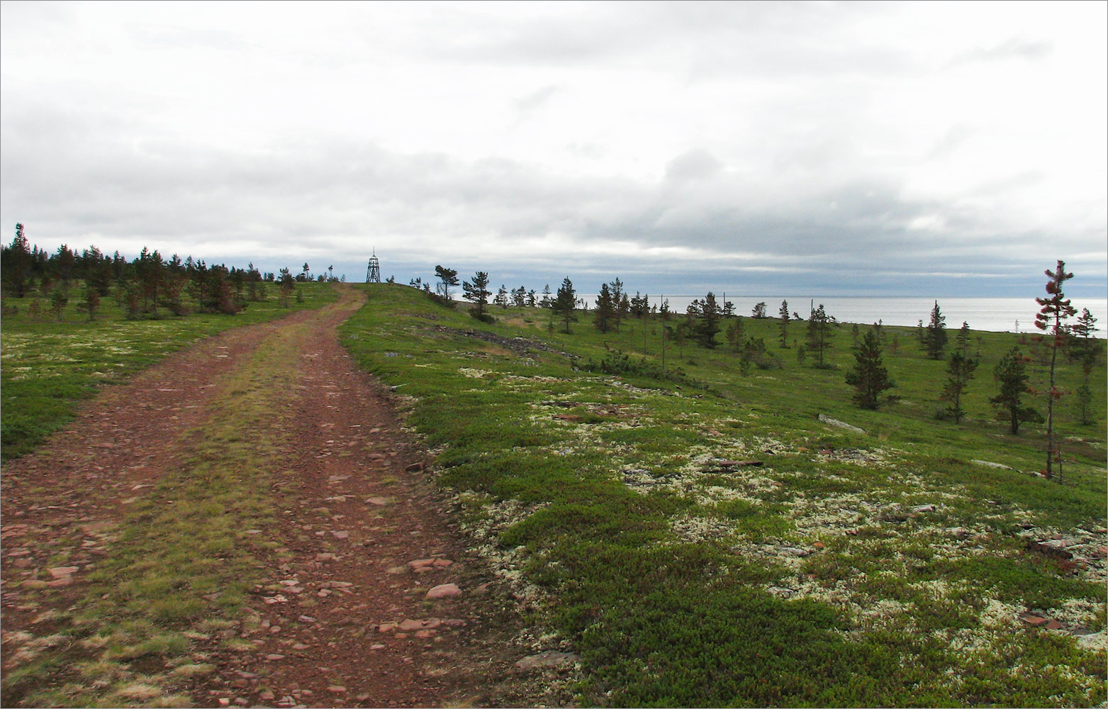 Аметистовый берег, image of landscape/habitat.