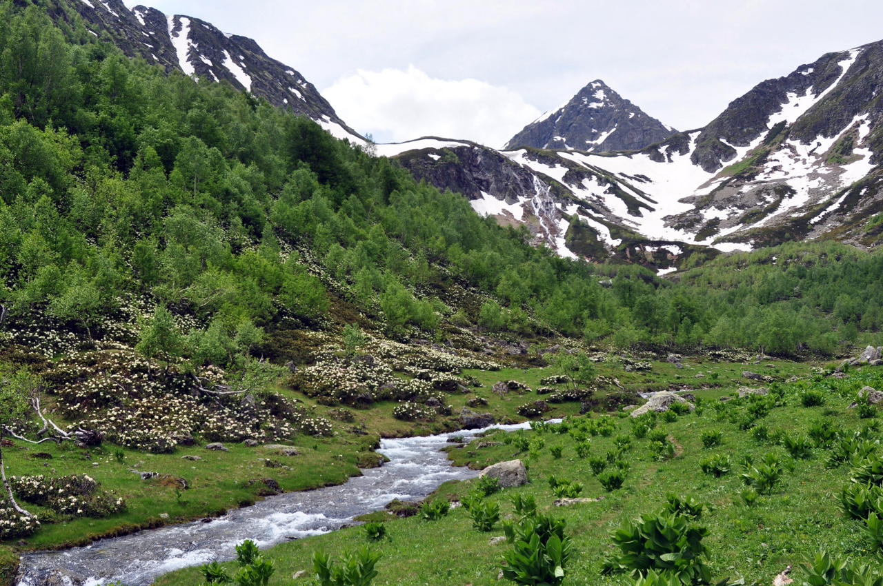 Долина реки Малая Дукка, image of landscape/habitat.