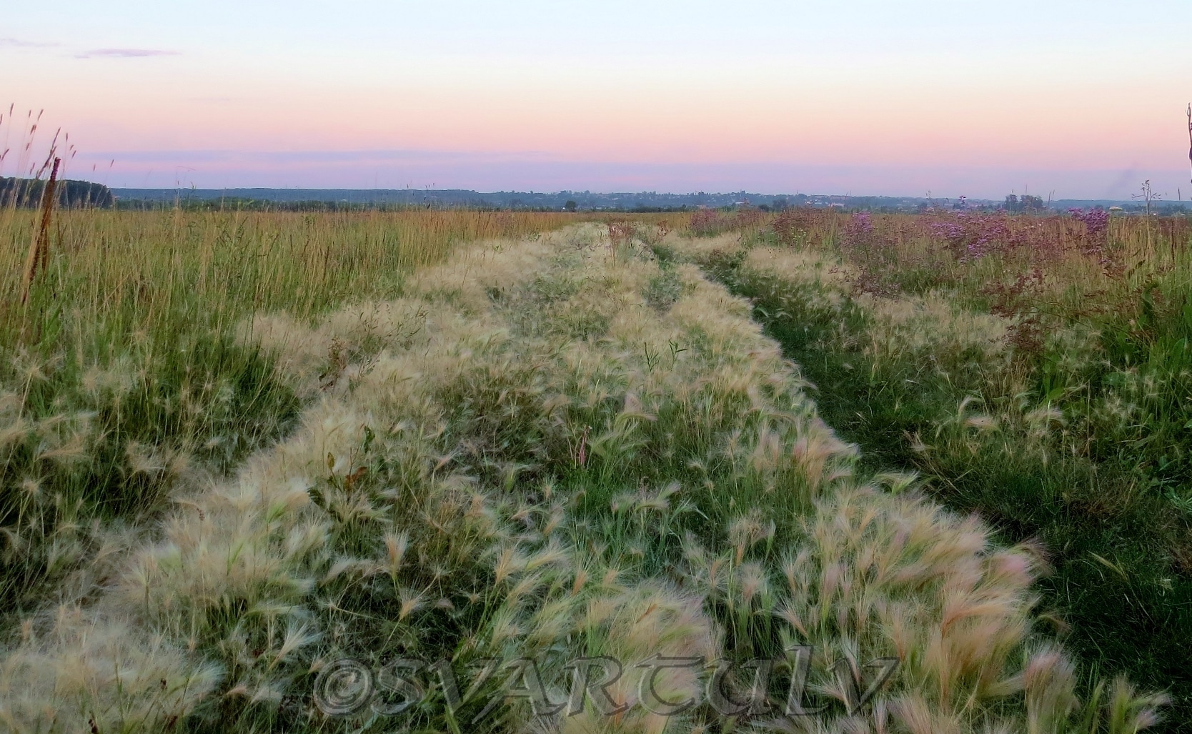 Пойма реки Малый Бачат, image of landscape/habitat.