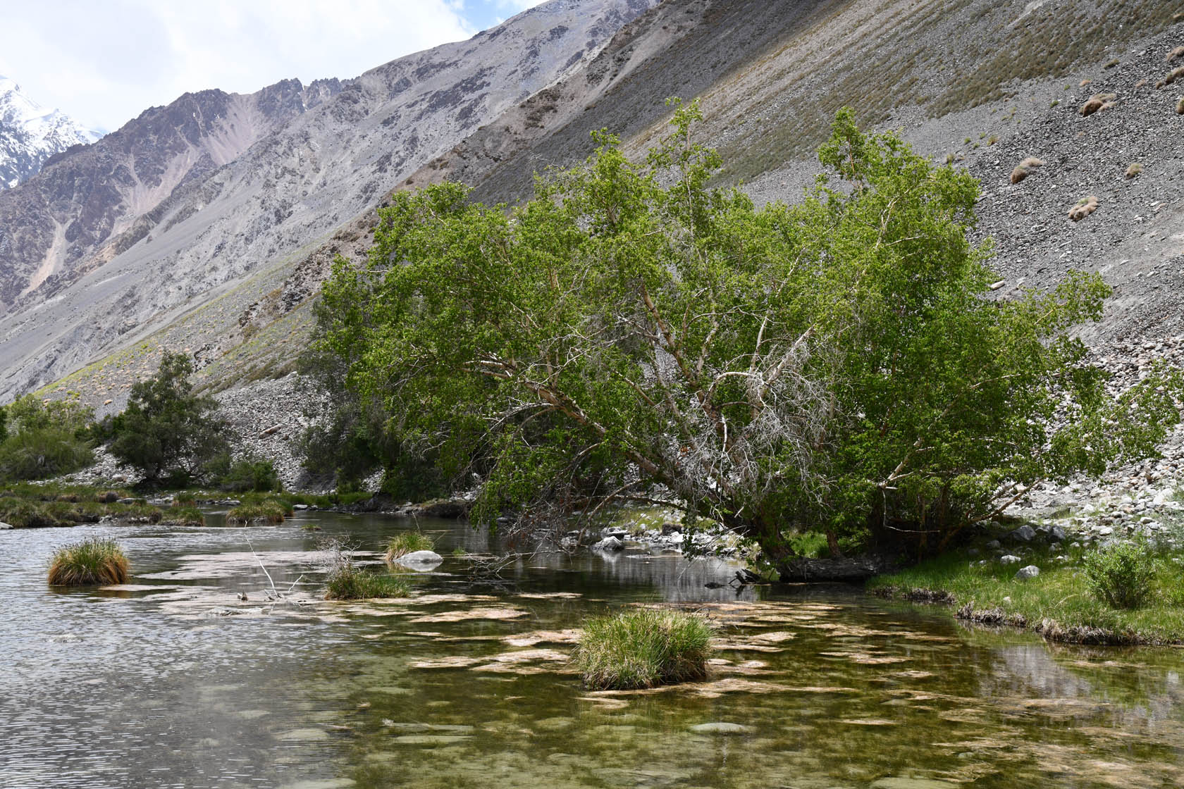 Ирхтский залив, image of landscape/habitat.