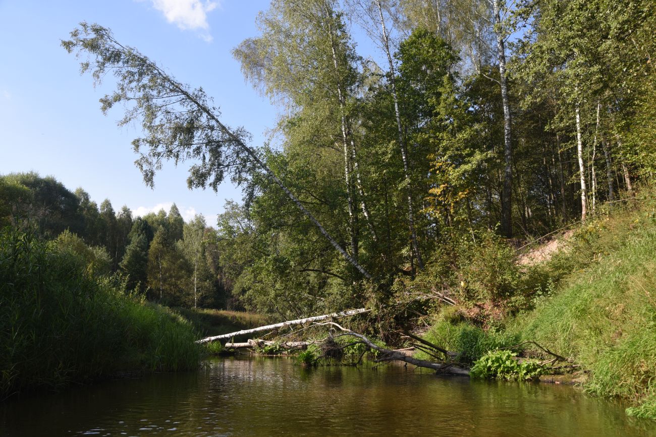 Горицы, image of landscape/habitat.