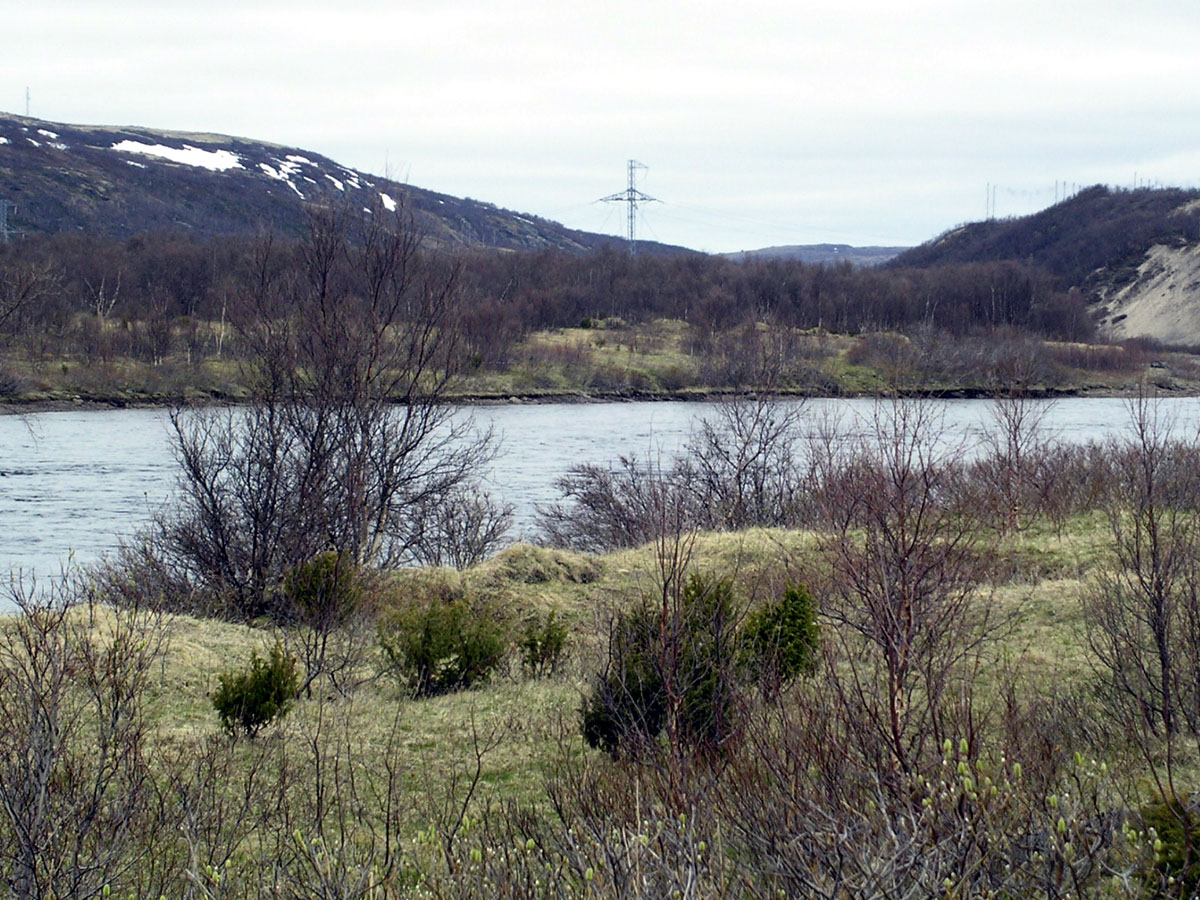 Туманный, image of landscape/habitat.