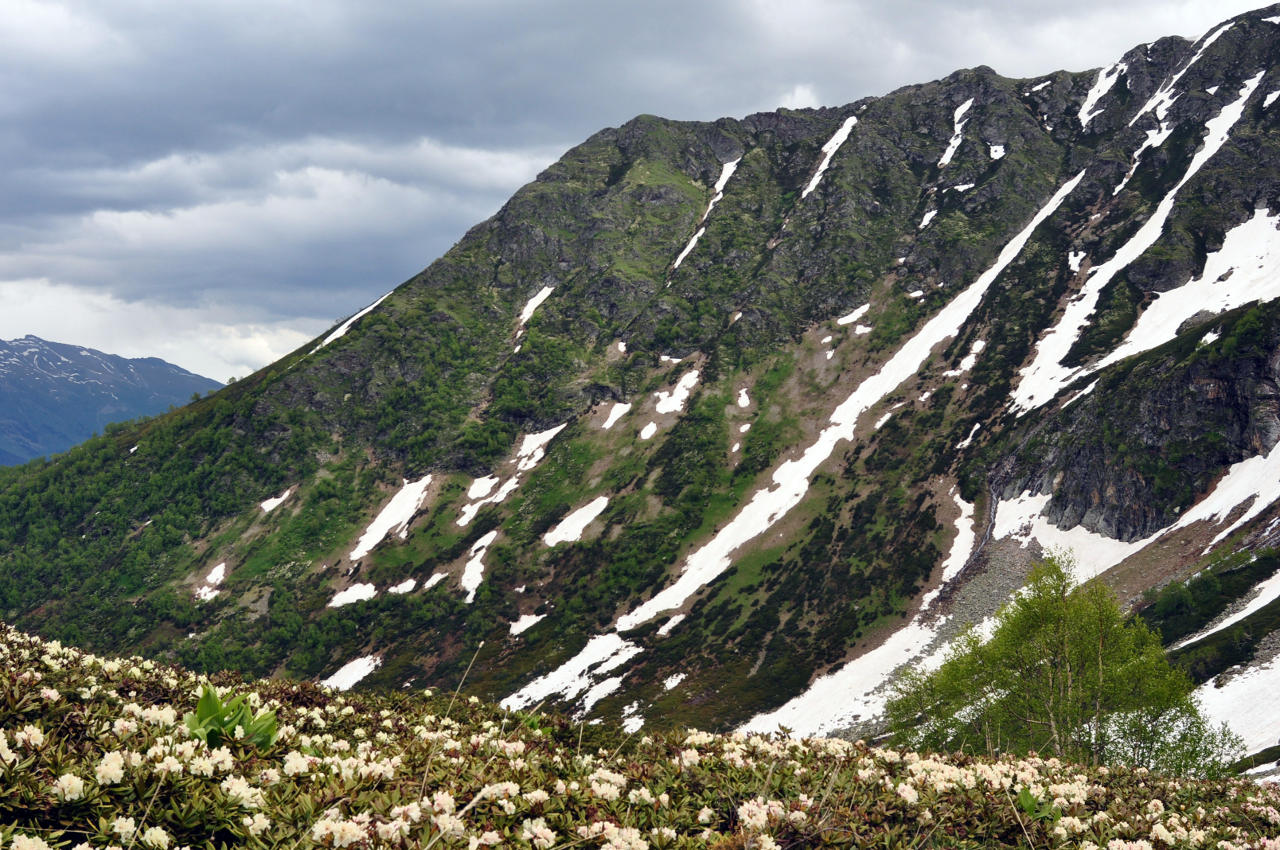 Долина реки Малая Дукка, image of landscape/habitat.