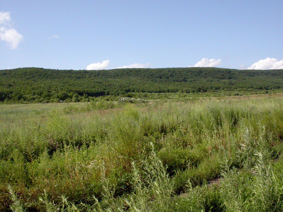 Кроуновка, изображение ландшафта.