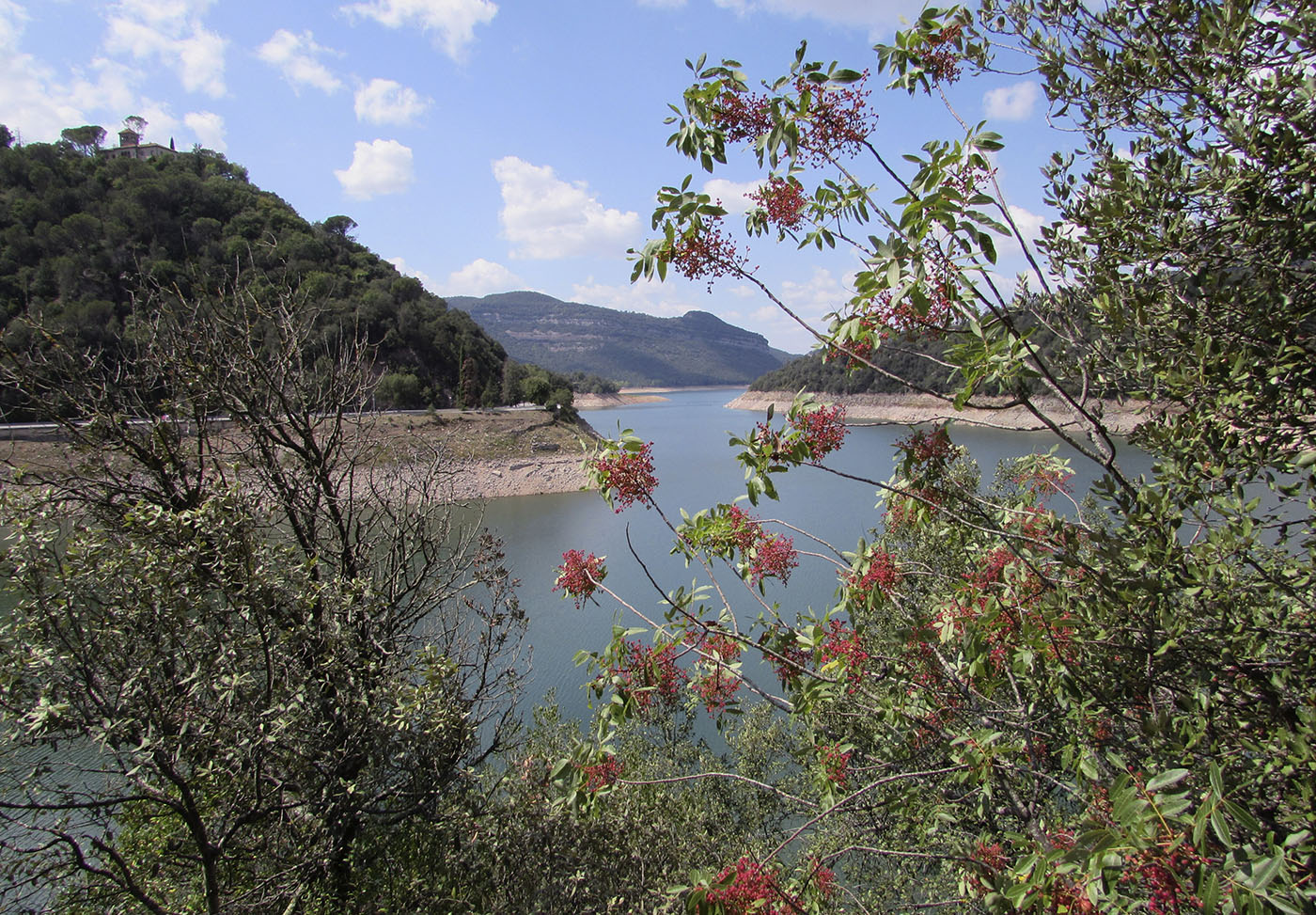 Водохранилище Сау, image of landscape/habitat.