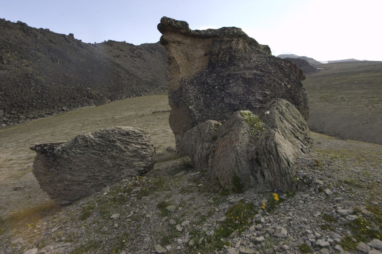 Урочище Каменные Грибы, image of landscape/habitat.