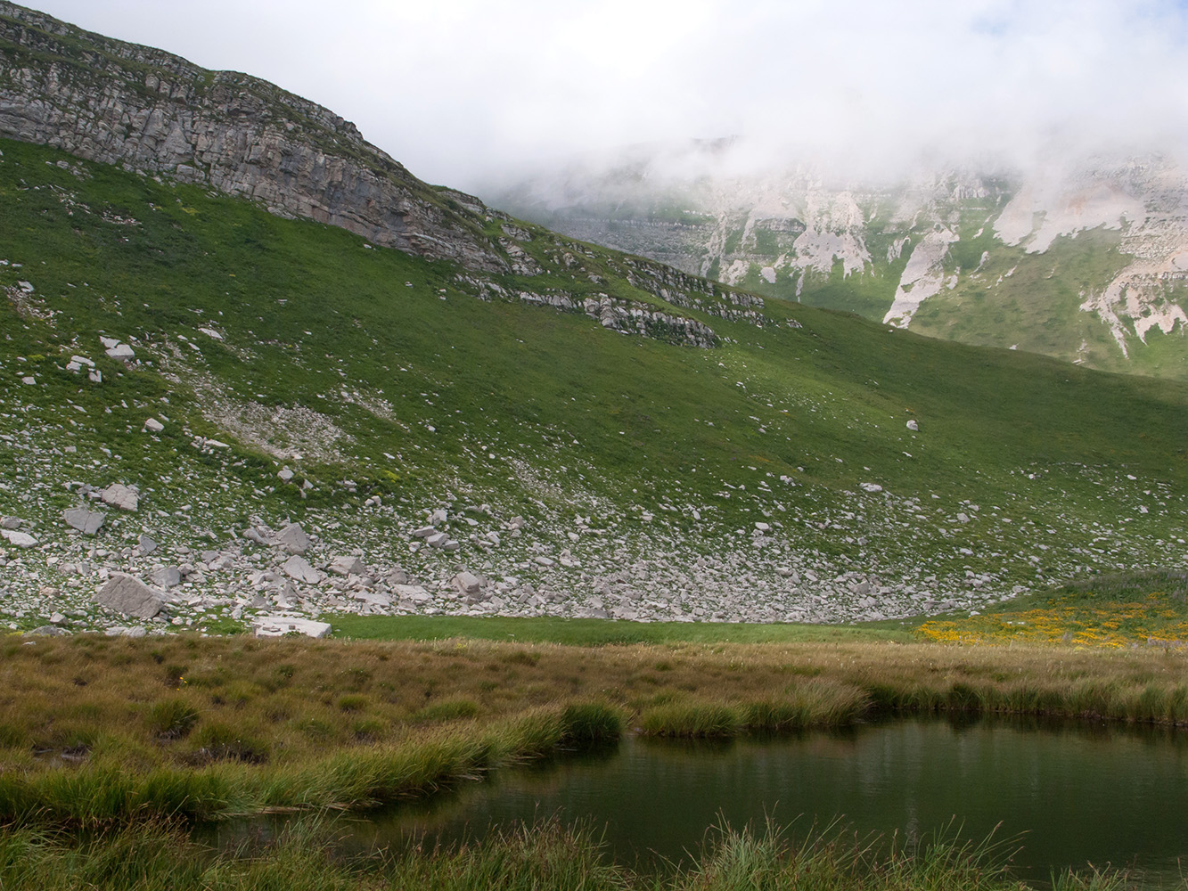 Юго-восточный отрог Оштена, image of landscape/habitat.