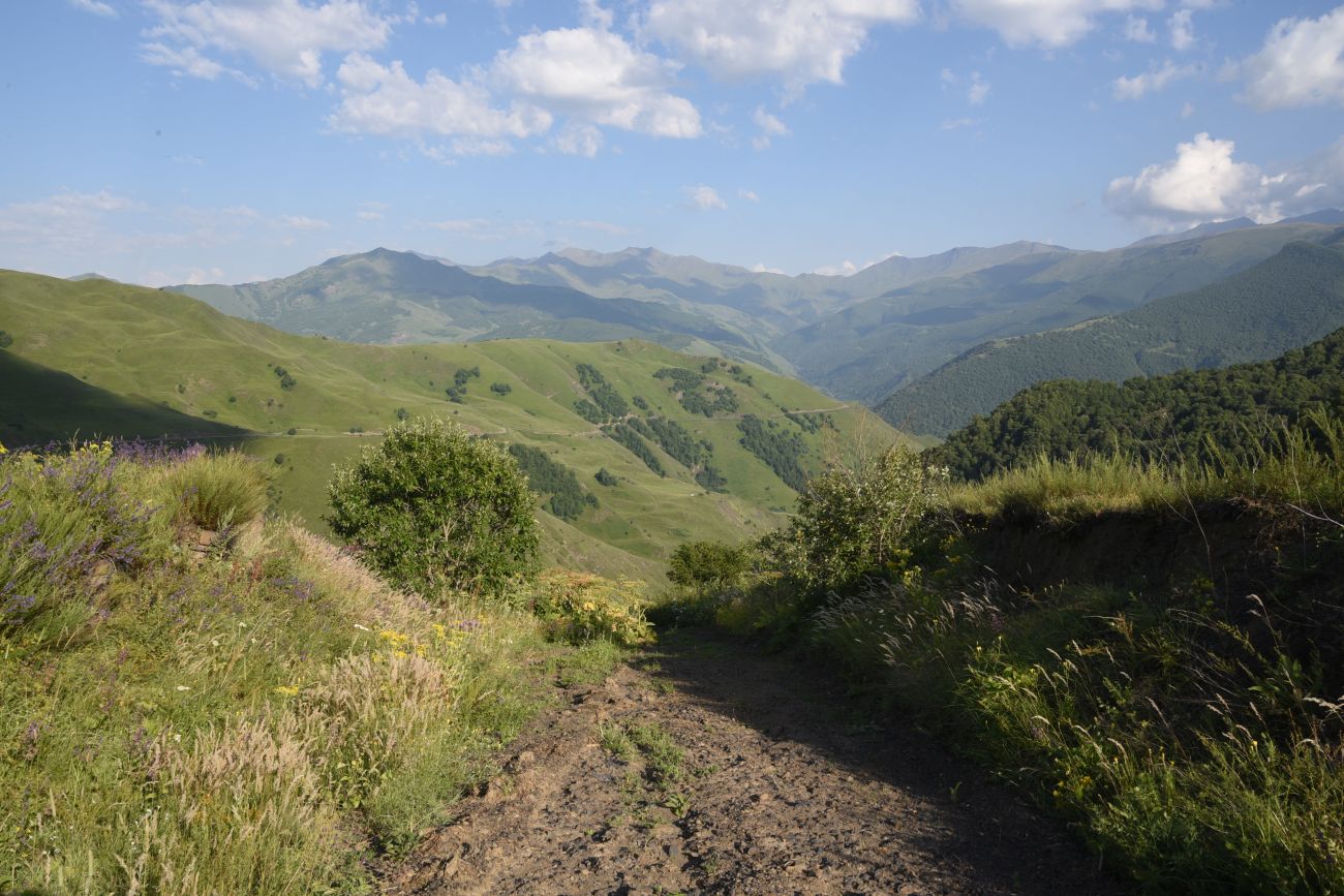 Долина реки Шикаройакх, изображение ландшафта.