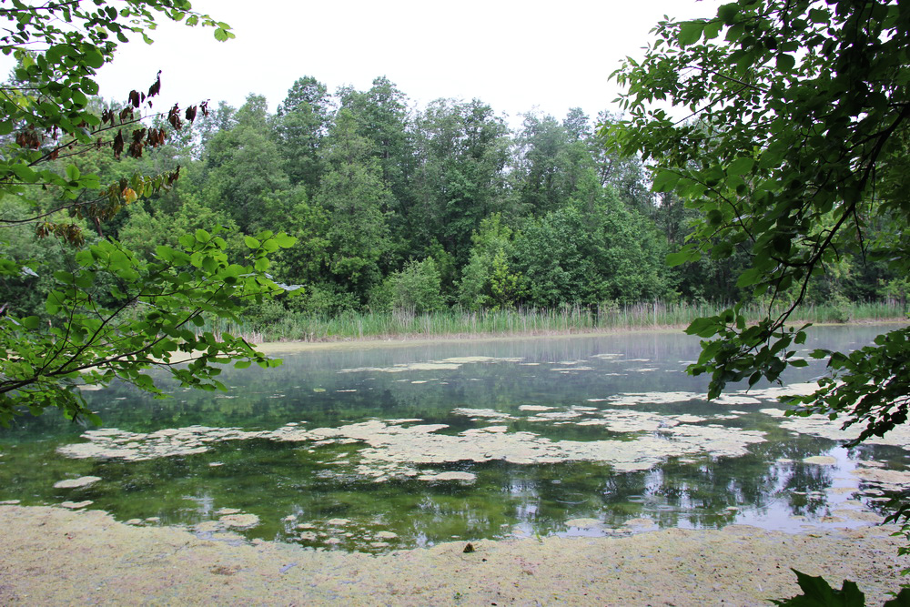 Голубое озеро, изображение ландшафта.