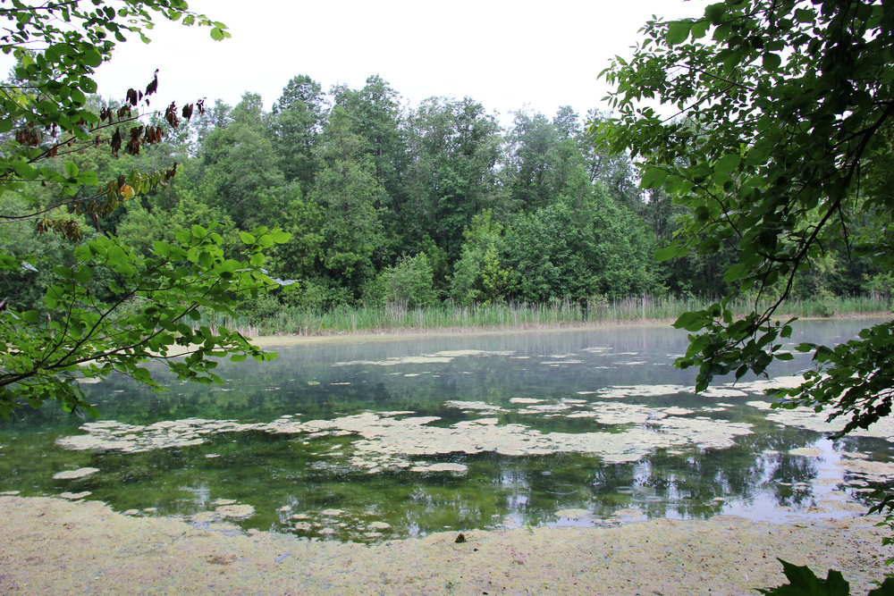 Голубое озеро, image of landscape/habitat.