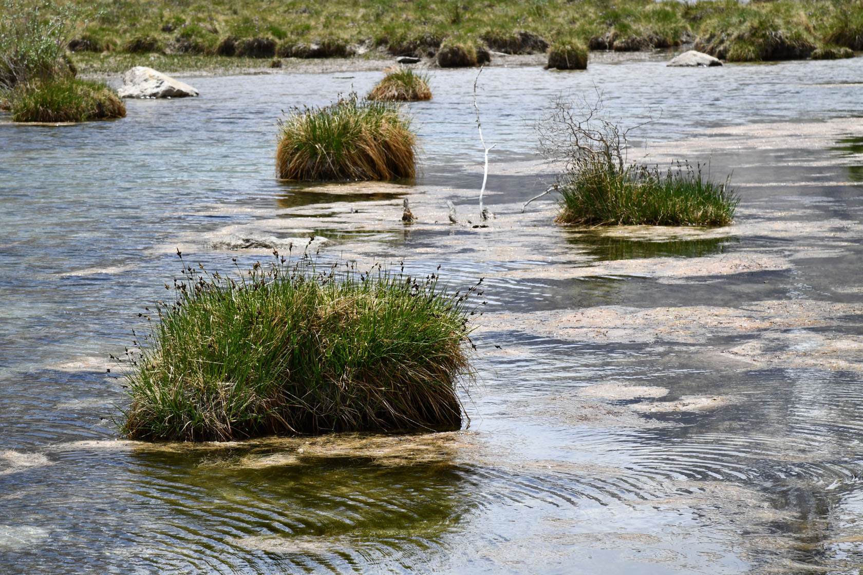 Ирхтский залив, image of landscape/habitat.