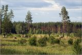 Image of landscape