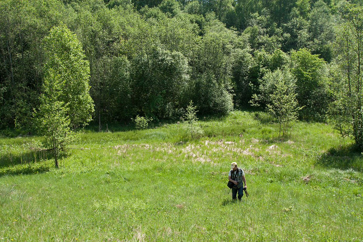 Изборско-Мальская долина, image of landscape/habitat.