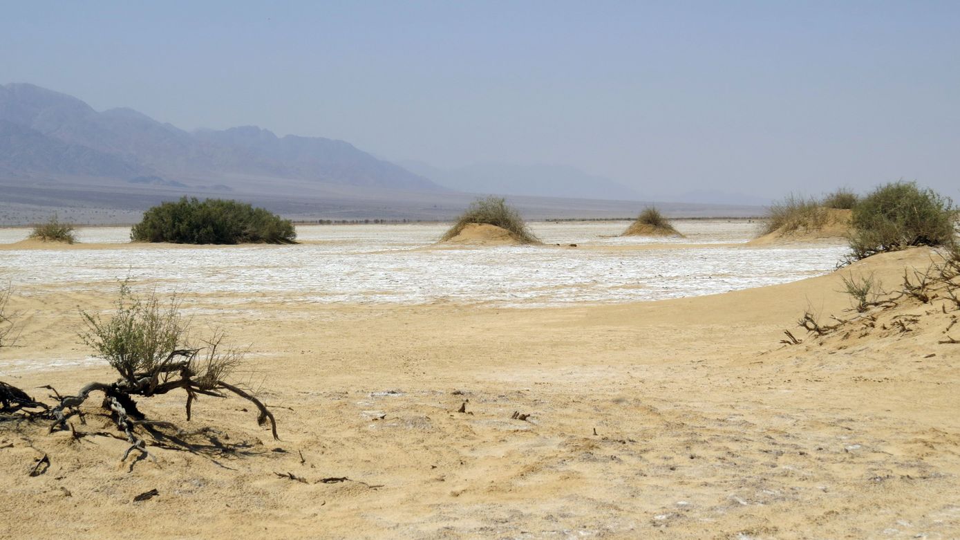 Солончак Мелихат-Йотвата, image of landscape/habitat.