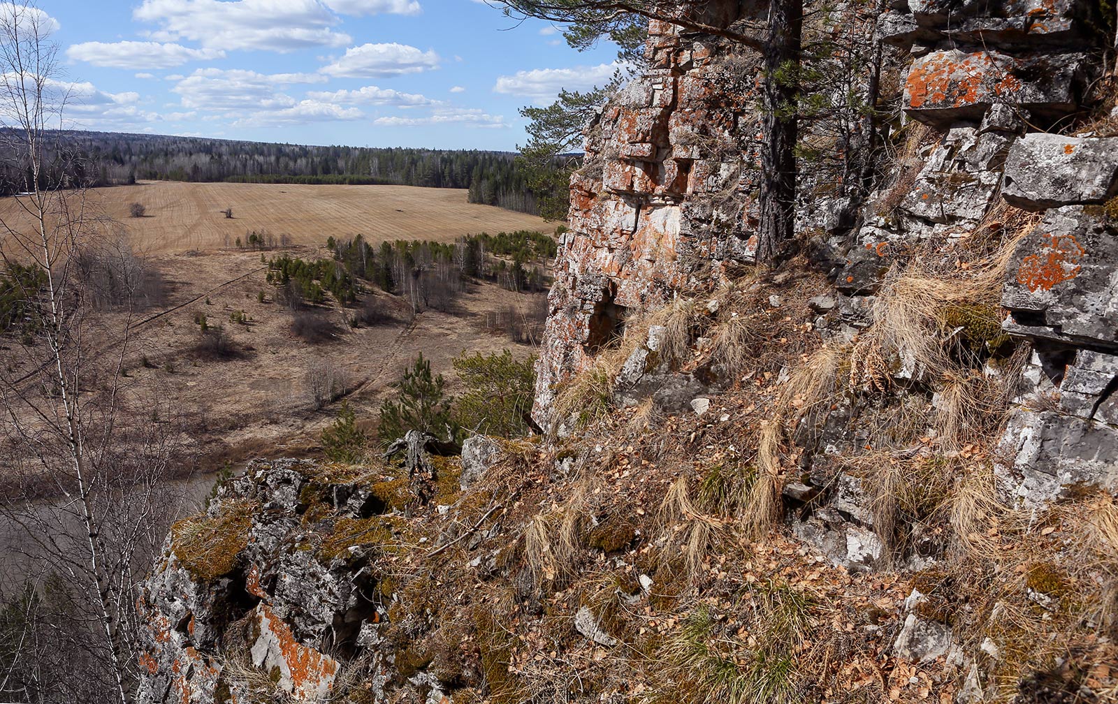 Камень Кирпичный и окрестности, image of landscape/habitat.