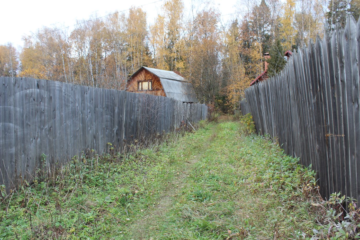 Окрестности города Фрязино, image of landscape/habitat.