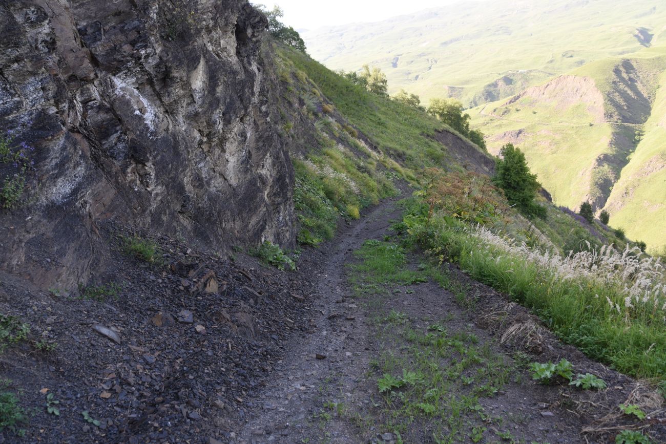 Долина реки Шикаройакх, image of landscape/habitat.