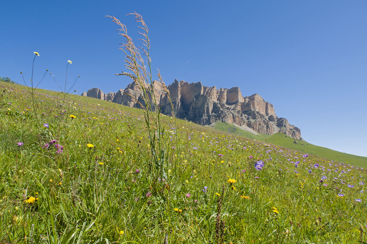 Бекаирбаши, image of landscape/habitat.