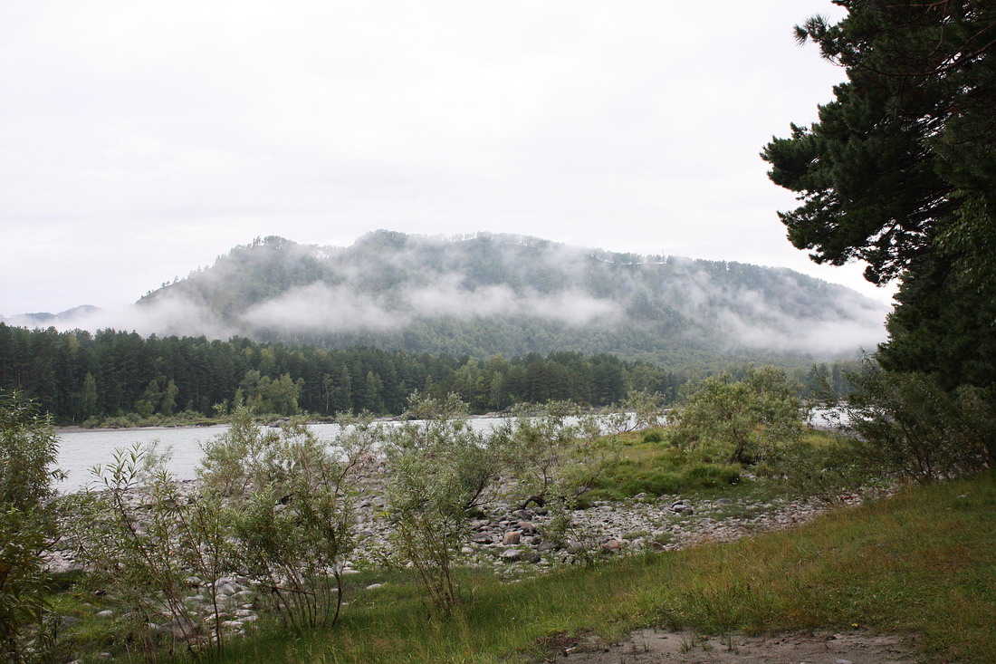 Окрестности пос. Манжерок, image of landscape/habitat.