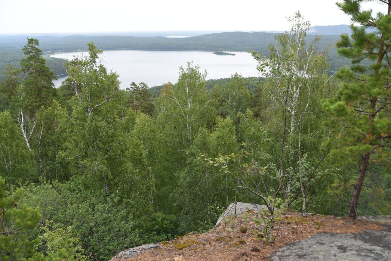 Озеро Аракуль, image of landscape/habitat.